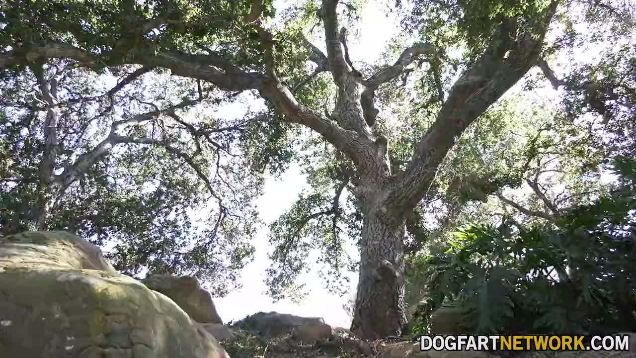 Watch Braylin Bailey and Lily Larimar taking on Jax Slayher HD Full video | ePornFreeHD. Watch Free All of trend and latest brand porn full Videos ePornFreeHD. 