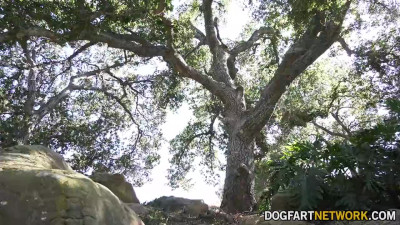 Braylin Bailey and Lily Larimar taking on Jax Slayher