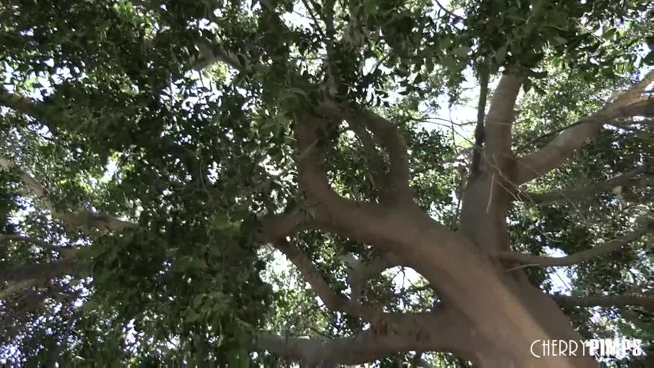 Watch Her wish becomes a reality and her bear becomes real HD Full video | ePornFreeHD. Watch Free All of trend and latest brand porn full Videos ePornFreeHD. 