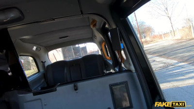 Thick brunette whore Zoe Doll fucking the taxi driver