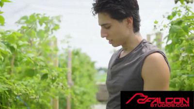 Farmer jocks take a time off and fuck in the field