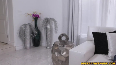 One big black cock for a couple of blonde bimbos