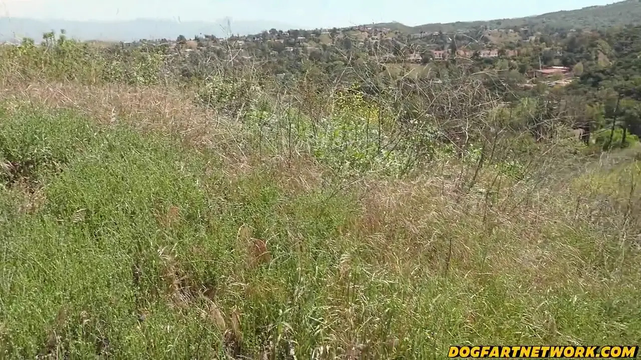 Watch Madison Wilde gets wild as fuck with a huge black dick HD Full video | ePornFreeHD. Watch Free All of trend and latest brand porn full Videos ePornFreeHD. 