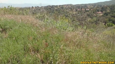 Madison Wilde gets wild as fuck with a huge black dick