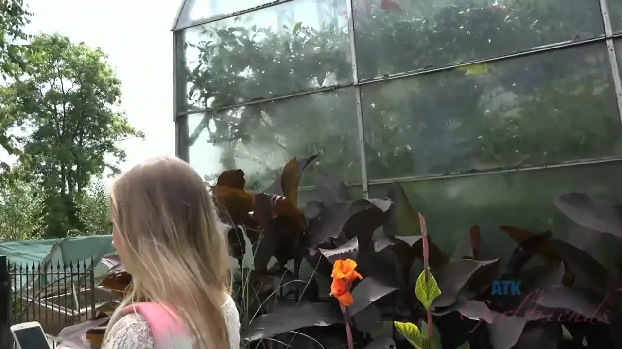 Watch Girl with cute hair face ends up sucking dick in public HD Full video | ePornFreeHD. Watch Free All of trend and latest brand porn full Videos ePornFreeHD. 